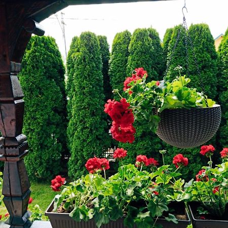 Pensiunea Casa Andreea - Barsana Maramures Birsana ภายนอก รูปภาพ