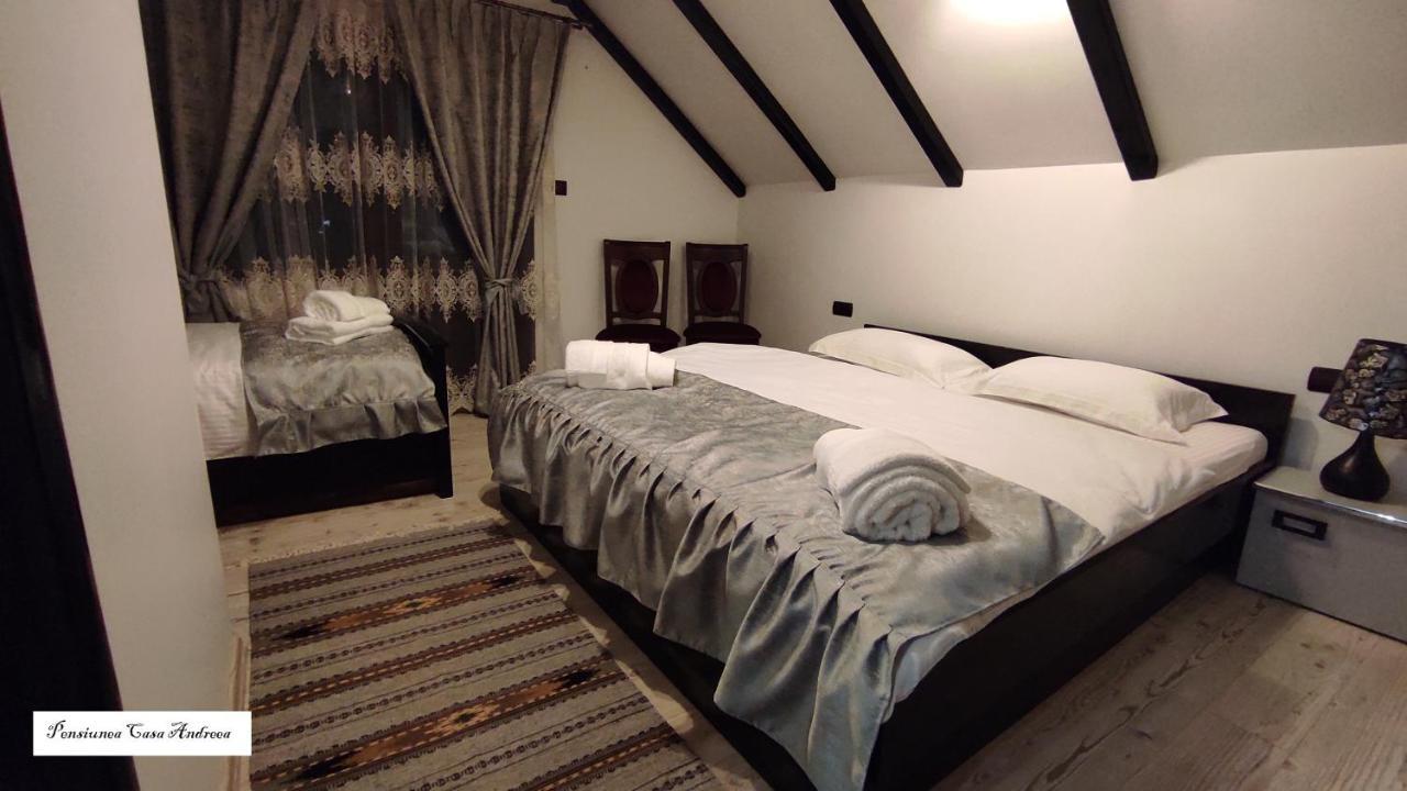 Pensiunea Casa Andreea - Barsana Maramures Birsana ภายนอก รูปภาพ