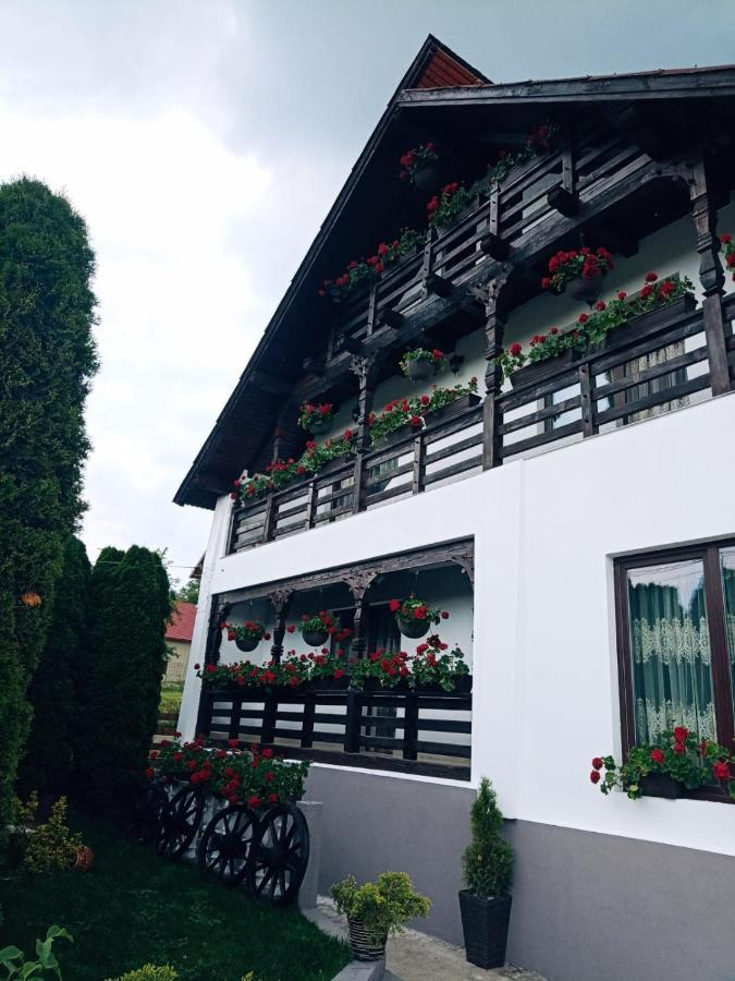 Pensiunea Casa Andreea - Barsana Maramures Birsana ภายนอก รูปภาพ