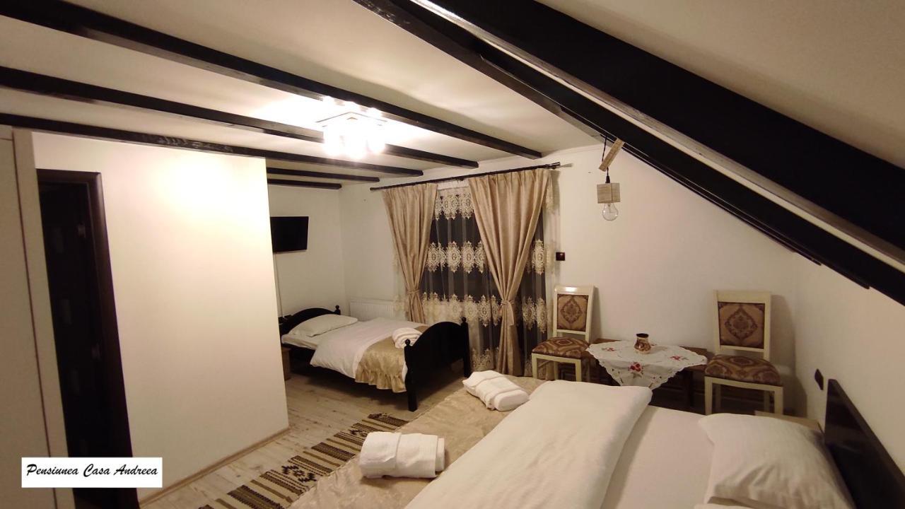 Pensiunea Casa Andreea - Barsana Maramures Birsana ภายนอก รูปภาพ