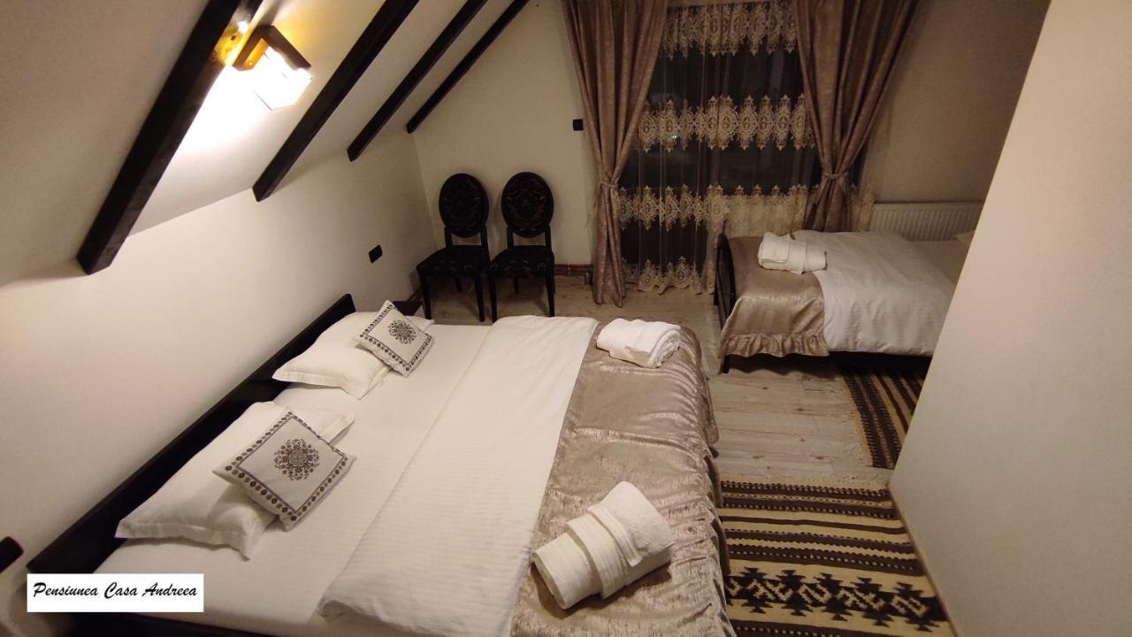 Pensiunea Casa Andreea - Barsana Maramures Birsana ภายนอก รูปภาพ