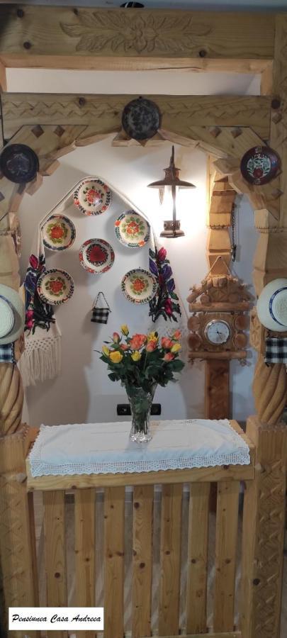 Pensiunea Casa Andreea - Barsana Maramures Birsana ภายนอก รูปภาพ