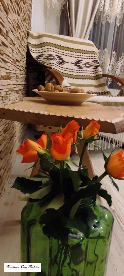Pensiunea Casa Andreea - Barsana Maramures Birsana ภายนอก รูปภาพ