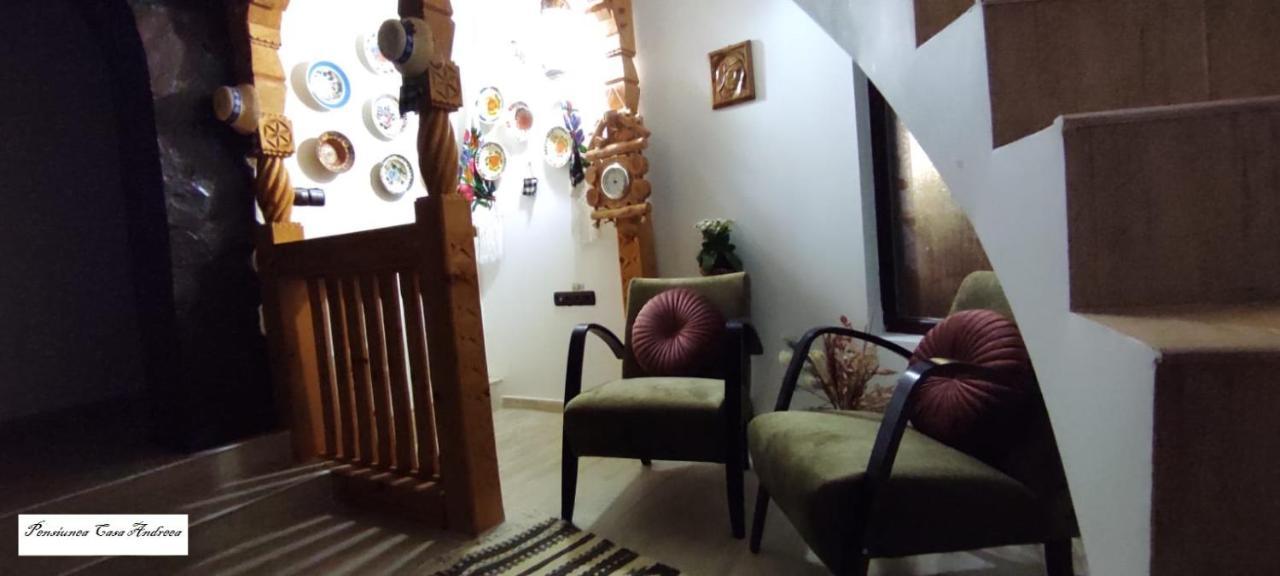 Pensiunea Casa Andreea - Barsana Maramures Birsana ภายนอก รูปภาพ